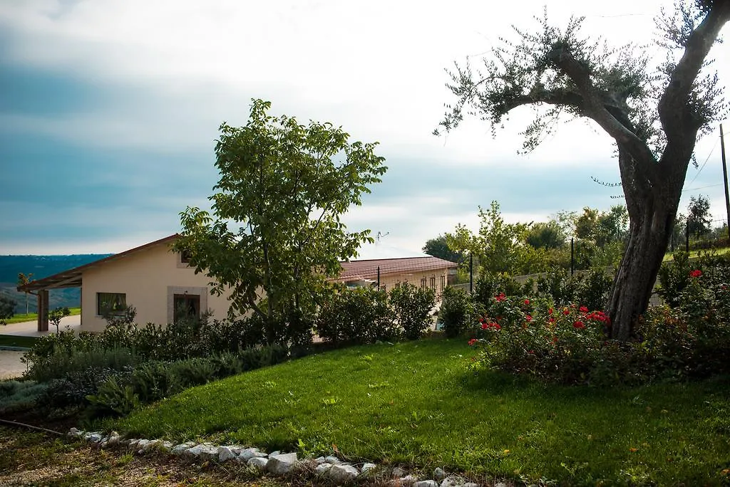 Agriturismo Colle Tripio-1